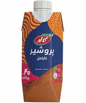 شیر کاله پروتئینه کوکی 330سی سی